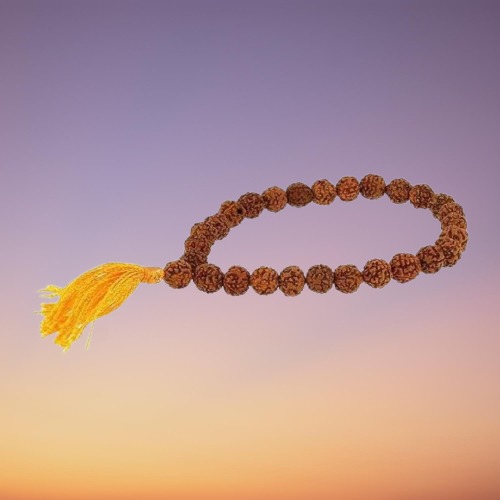 Pulsera Mala de Rudraksha: Grande con Borla