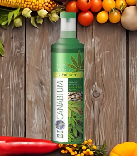 Canabium abono crecimiento 1000ML