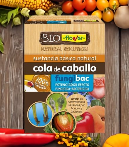 Biofunguicida Fungibac