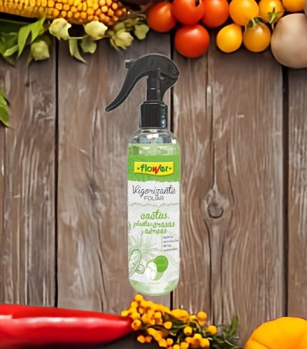 Vigorizante foliar para cactus, crasas y plantas aéreas