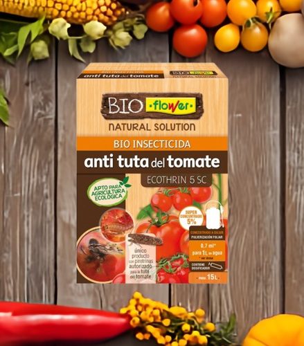 Anti mancha negra del tomate