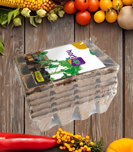 Semilleros biodegradables 12 alveolos