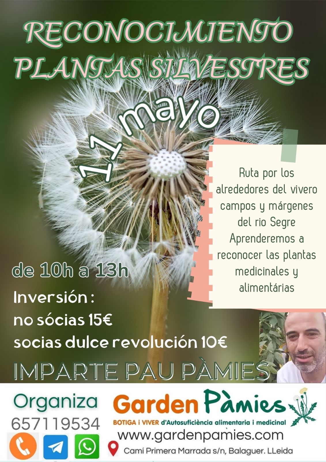 reconocimiento plantas silvestres