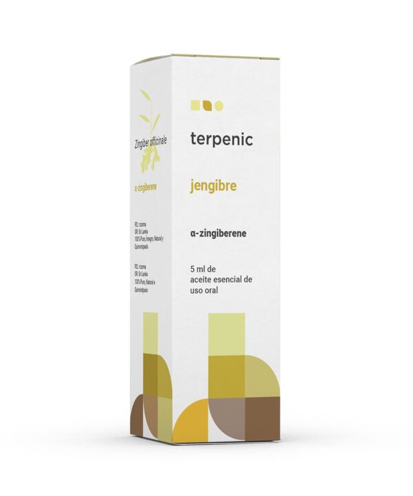 JENGIBRE AE, 5ML
