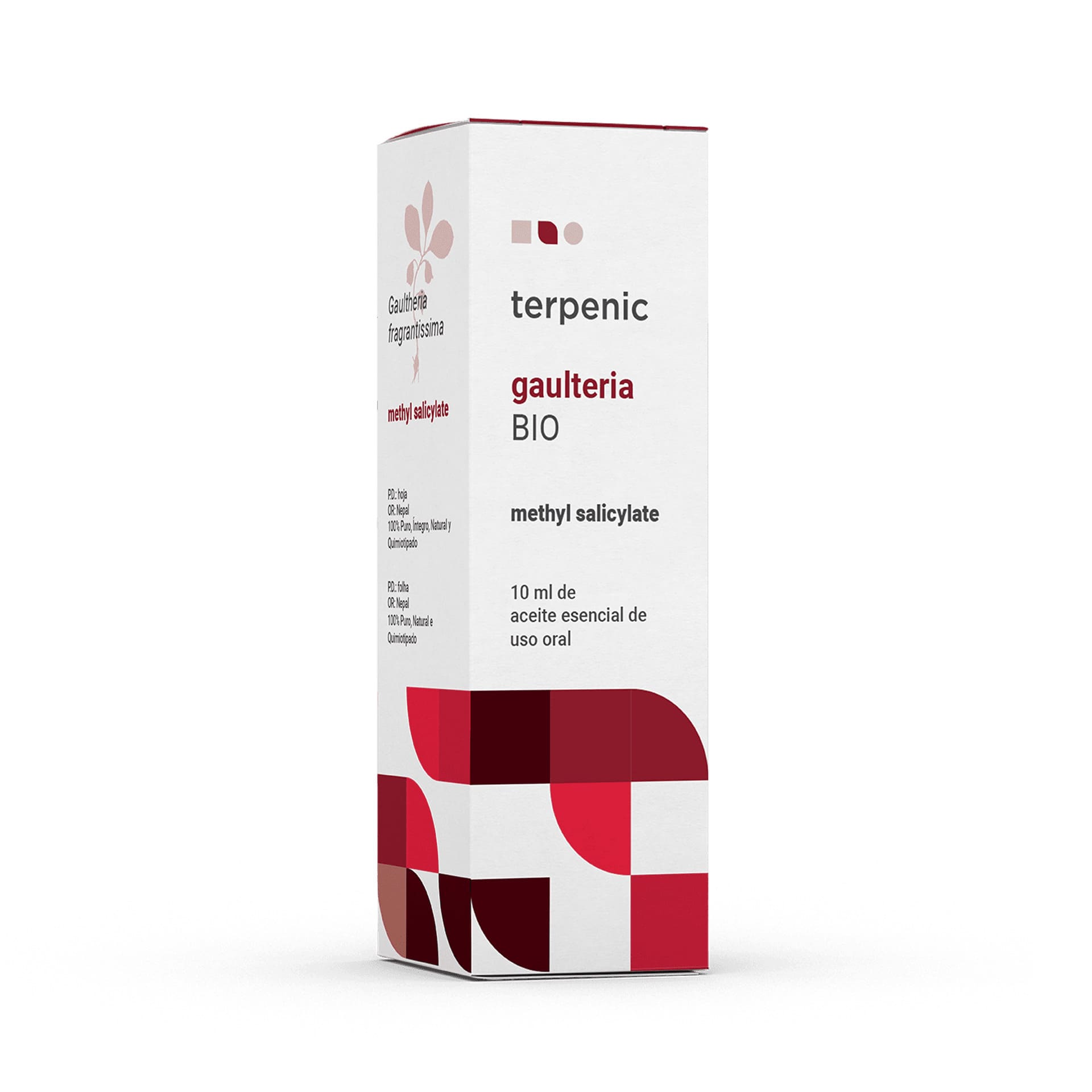 GAULTERIA PROCUMBENSAE (BIO, 10ML)