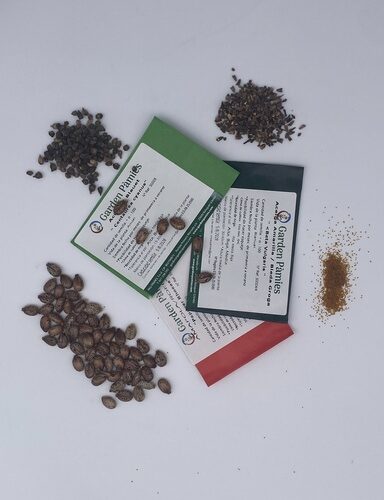 Las principales de Garden Pàmies