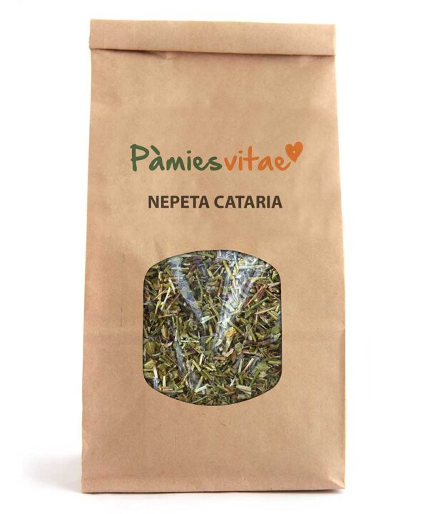 NEPETA CATARIA HIERBA GATERA - Nepeta cataria