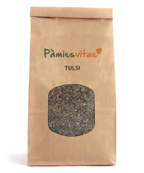 TULSI - Ocimum tenuiflorum-sanctum