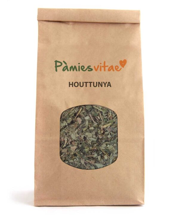 HOUTTUYNIA HIERBA DEL PESCADO - Houttuynia cordata