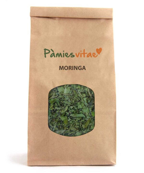 MORINGA - Moringa oleifera