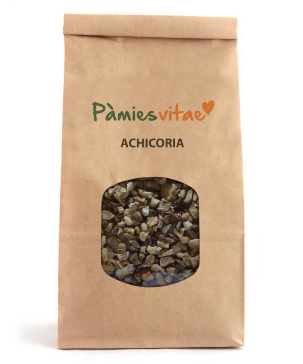 ACHICORIA/XICORIA - Cichorium intybus