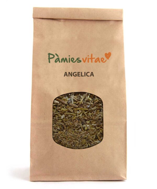 ANGELICA - RAÍZ - Angelica archangelica