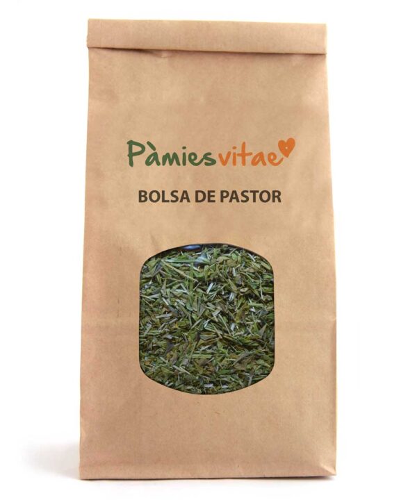 BOLSA DE PASTOR - Capsella busa-pastoris