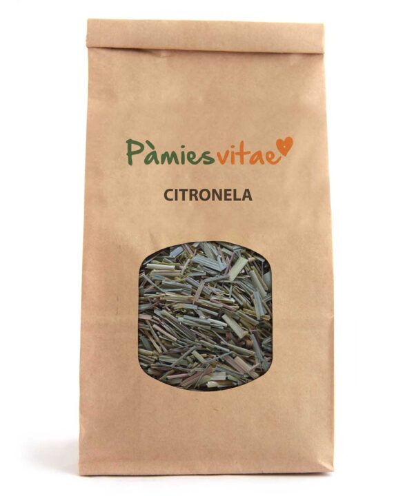 CITRONELA - Cymbopogon citratus