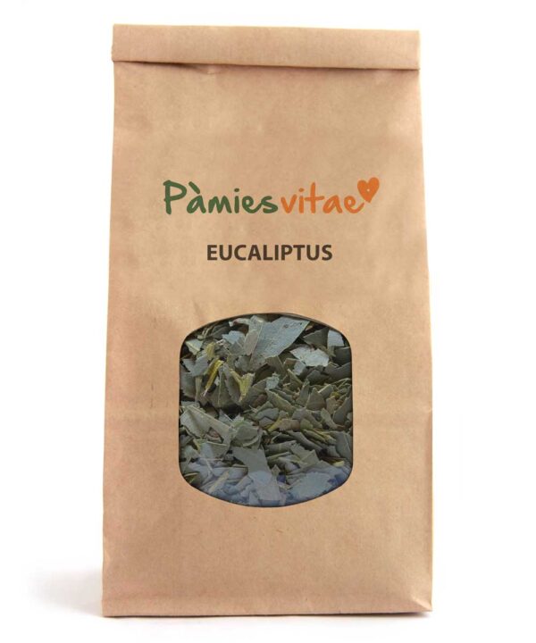 EUCALIPTO - Eucalyptus globulus