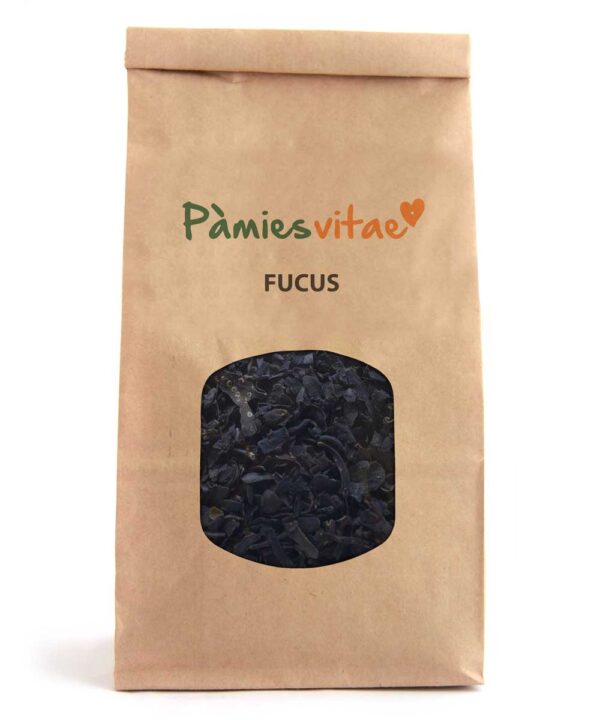 FUCUS - Fucus vesiculosus