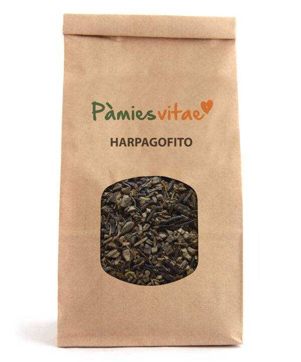 HARPAGOFITO - Harpagophytum procumbens