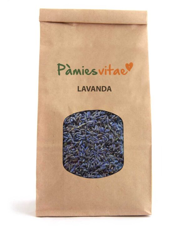 LAVANDA/ESPIGOL - Lavandula angustifolia