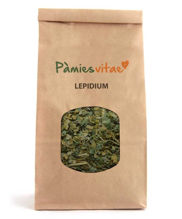 LEPIDIUM - Lepidium latifolium