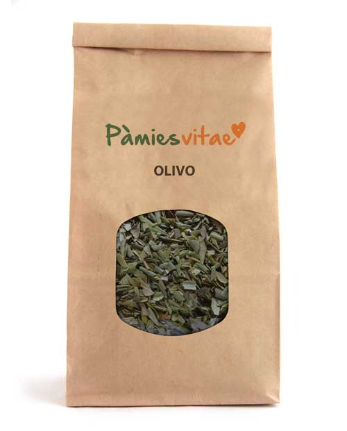 OLIVO/OLIVERA - Olea europaea