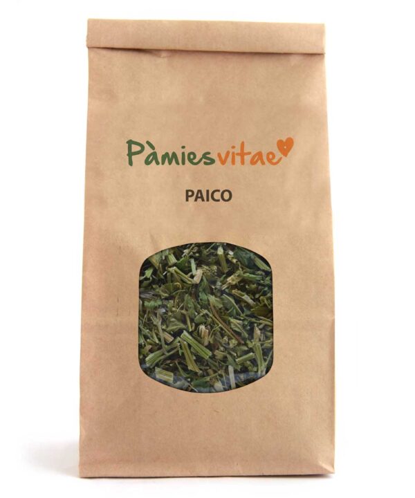 PAICO - Chenopodium ambrosioides