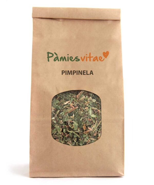 PIMPINELA/PIMPINELLA - Sanguisorba minor