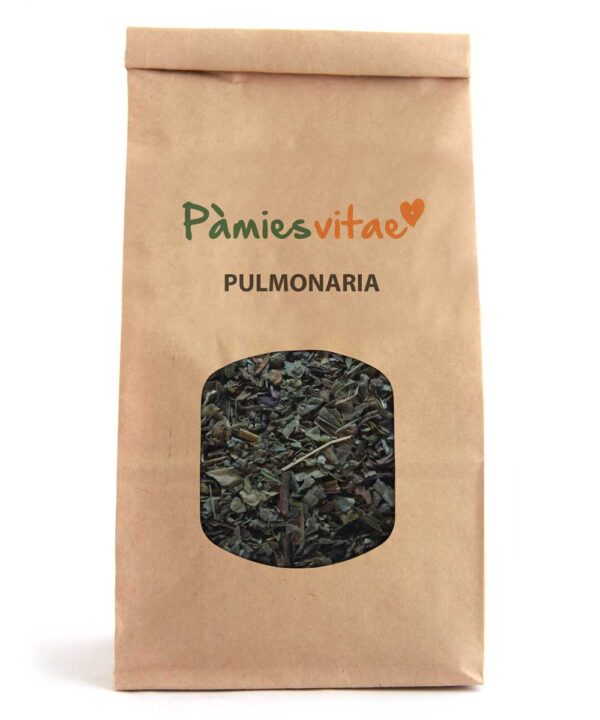 PULMONARIA - Pulmonaria officinalis