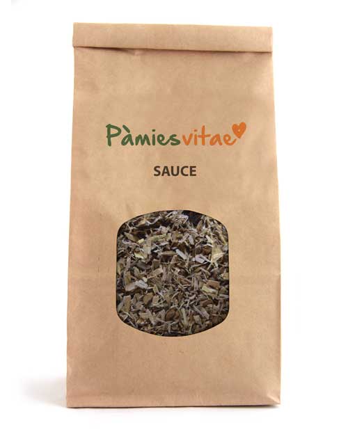 SAUCE - CORTEZA - Salix alba