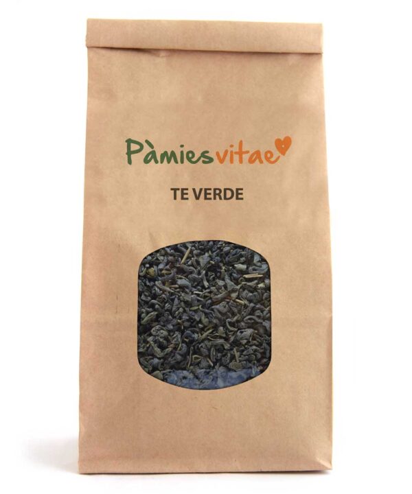 TÉ VERDE - Camellia sinensis