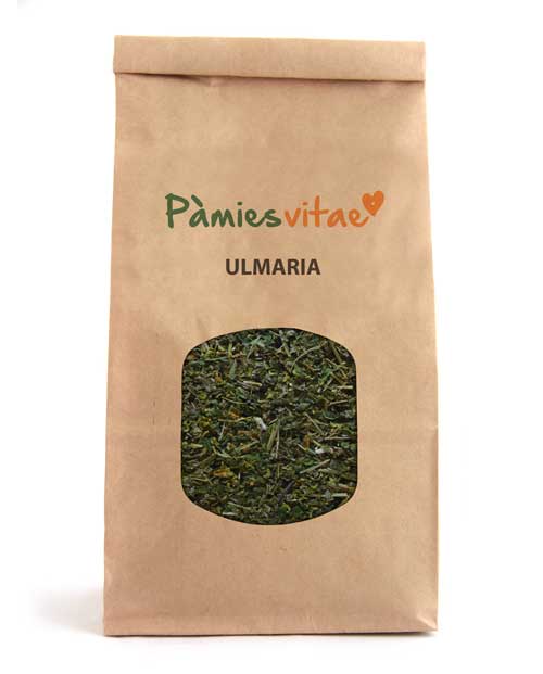 ULMARIA - Filipendula ulmaria