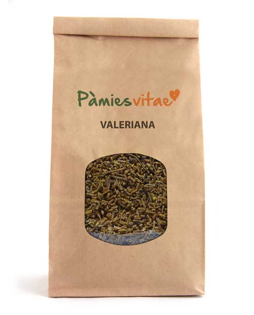 VALERIANA - RAIZ - Valeriana officinalis