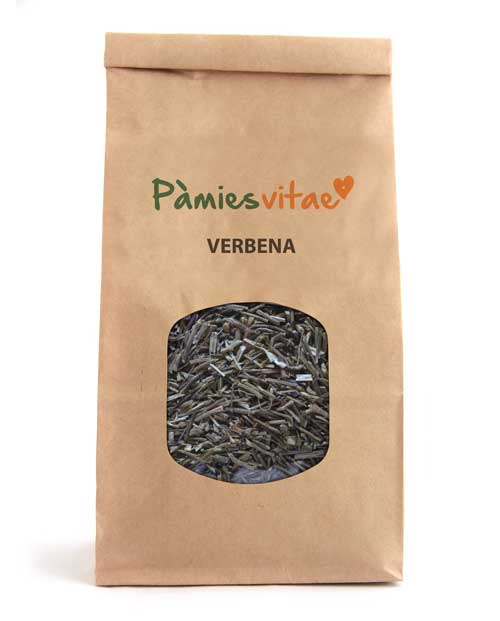 VERBENA/BERBENA - Verbena officinalis
