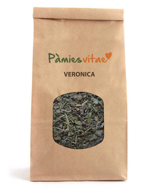 VERONICA - Veronica officinalis