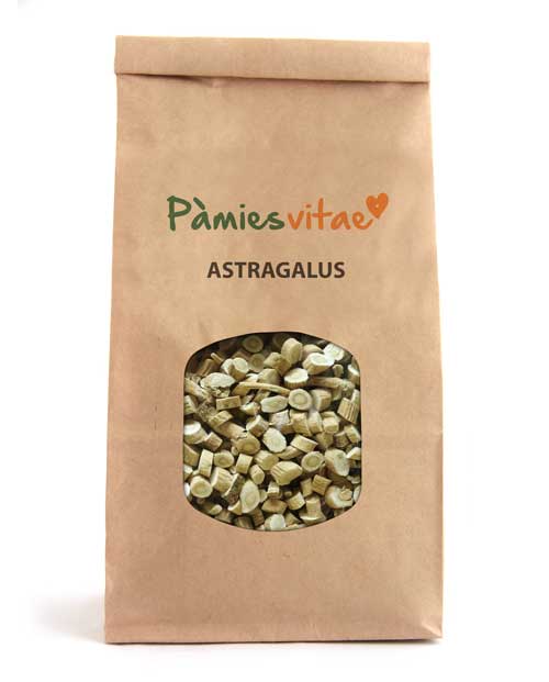 ASTRAGALUS - RAIZ - Astragalus membranaceus