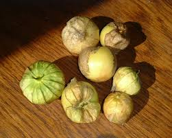 Alquequenje Tomatillo