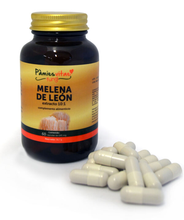 Melena de León PV (60 cápsulas)