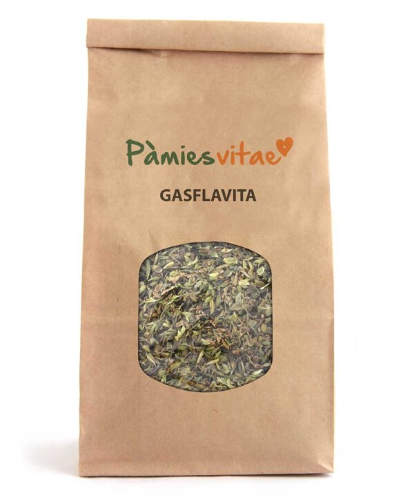 GASFLAVITA