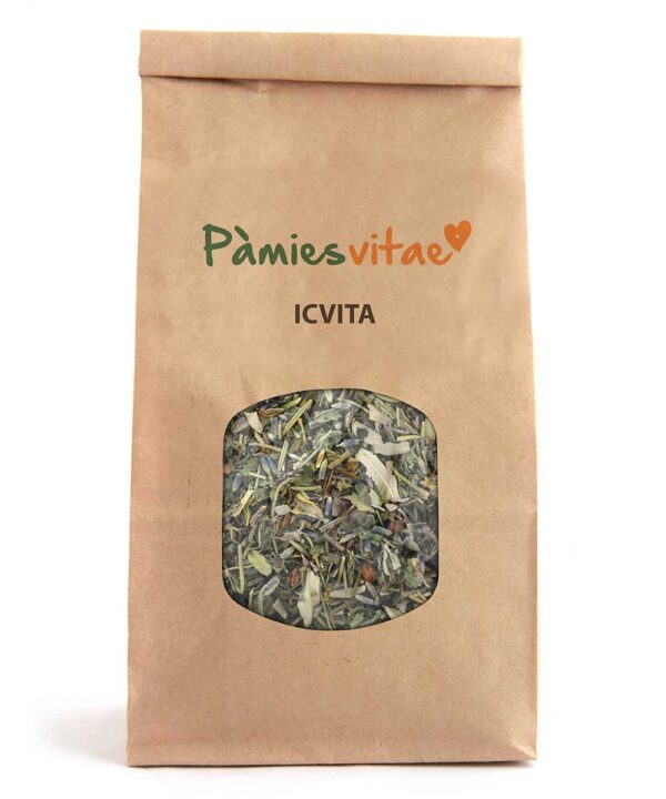 ICVITA