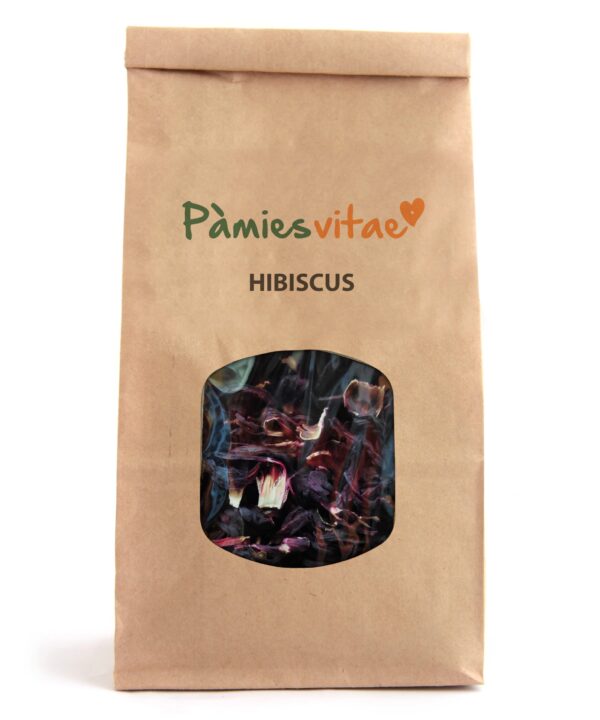 HIBISCUS - Hibiscus rosa-sinensis