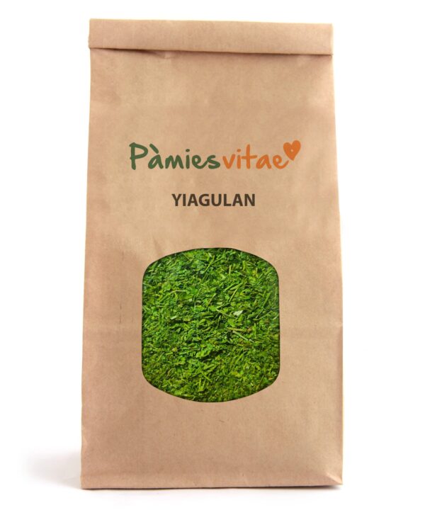 YIAOGULAN - Gynostemma pentaphyllum