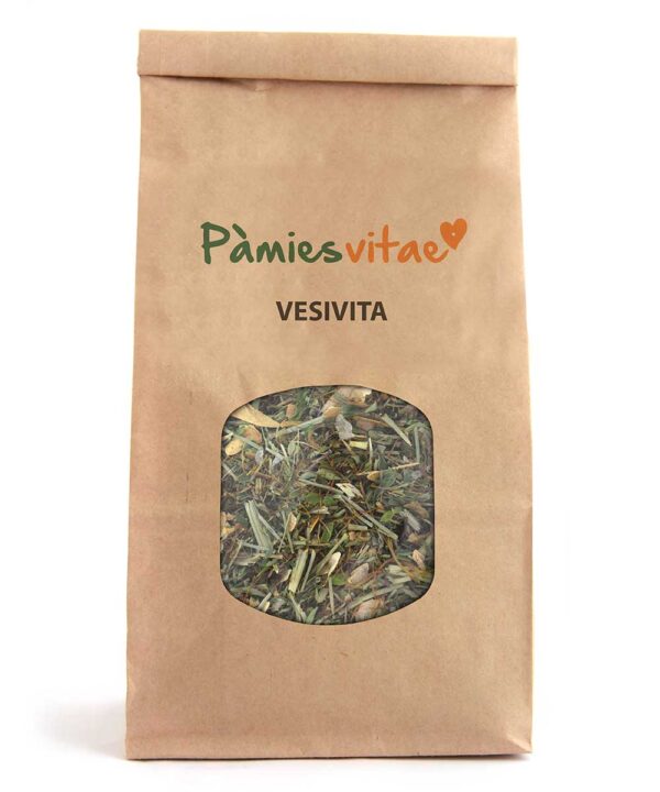 VESIVITA