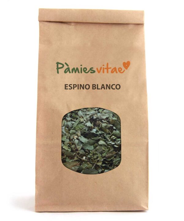 ESPINO/ARÇ BLANCO- Crataegus monogyna