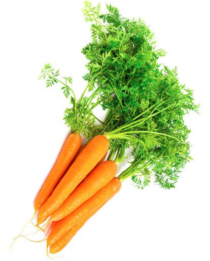 Zanahoria naranja Nantesa