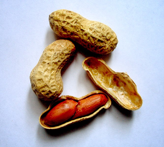 Cacahuete