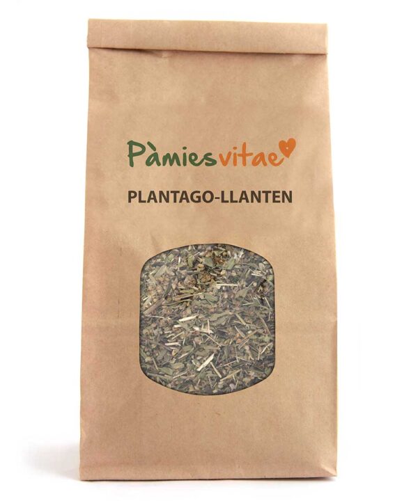 PLANTAGO/LLANTEN - Plantago major