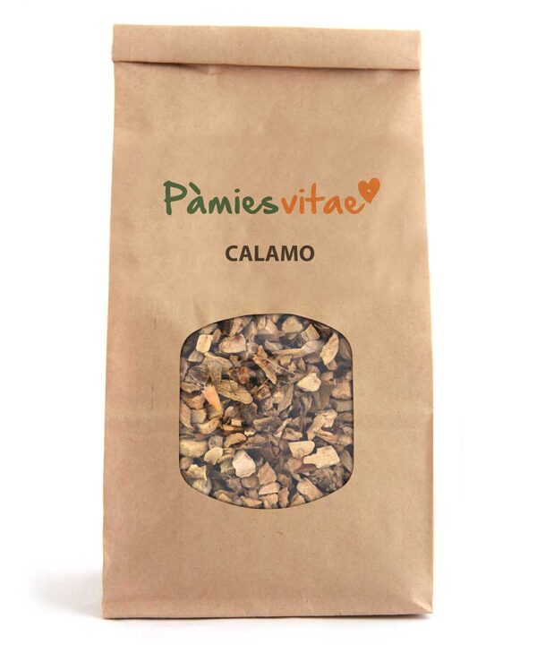 CALAMO - Acorus calamus