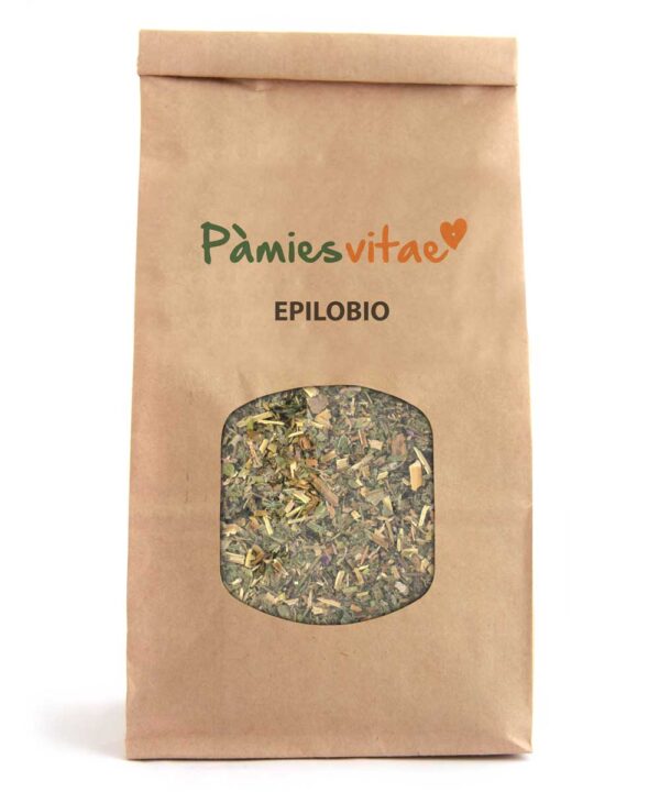 EPILOBIO/EPILOBI - Epilobium parviflorum