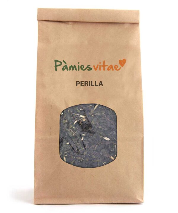 PERILLA MORADA - Perilla frutescens