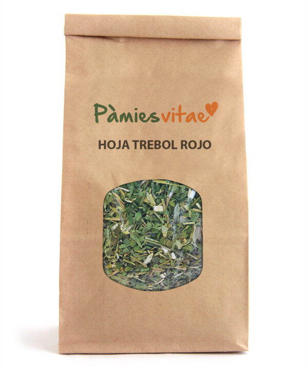 TREBOL ROJO - HOJA - Trifolium pratenses