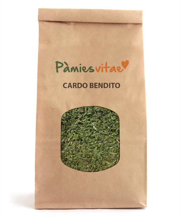CARDO BENDITO - Cnicus benedictus
